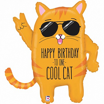 Фольгированный шар HAPPY BIRTHDAY TO ONE COOL CAT Кот